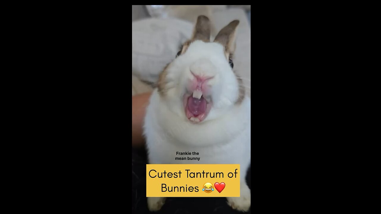 The Cutest Tantrum 😂❤️