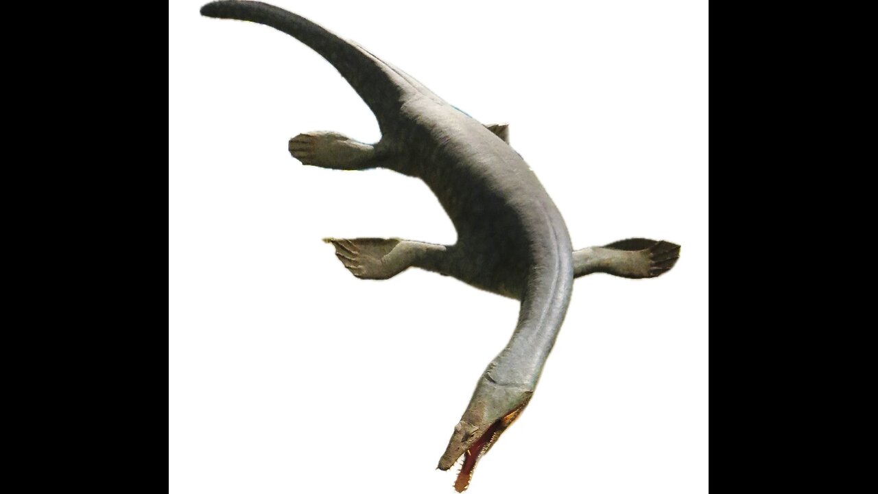 Kunashiri Island Sea Monster