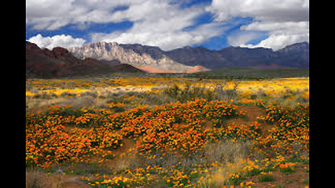 Grif's Report Redux: Underrepresented Northeast El Paso