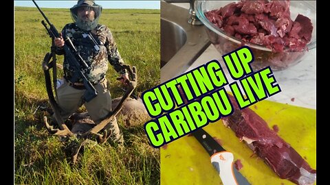 Cutting Up Caribou Live