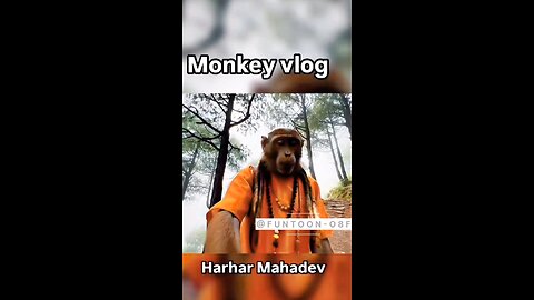 monkey Vlog
