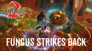 Fungus Strikes Back (Achievement Guide) - Guild Wars 2