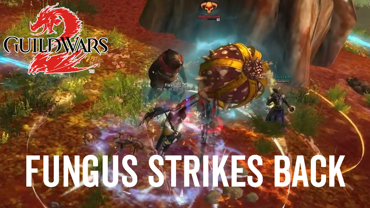 Fungus Strikes Back (Achievement Guide) - Guild Wars 2