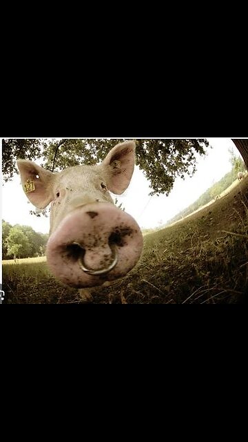 Lmao, she hated every second of the truth