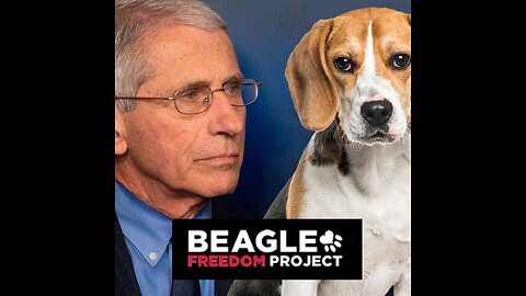 Black market organ harvesting and real estate