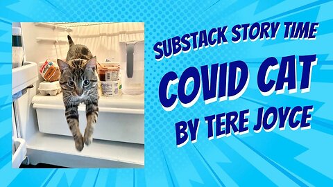 Substack Story Time: Covid Cat -by Tere Joyce