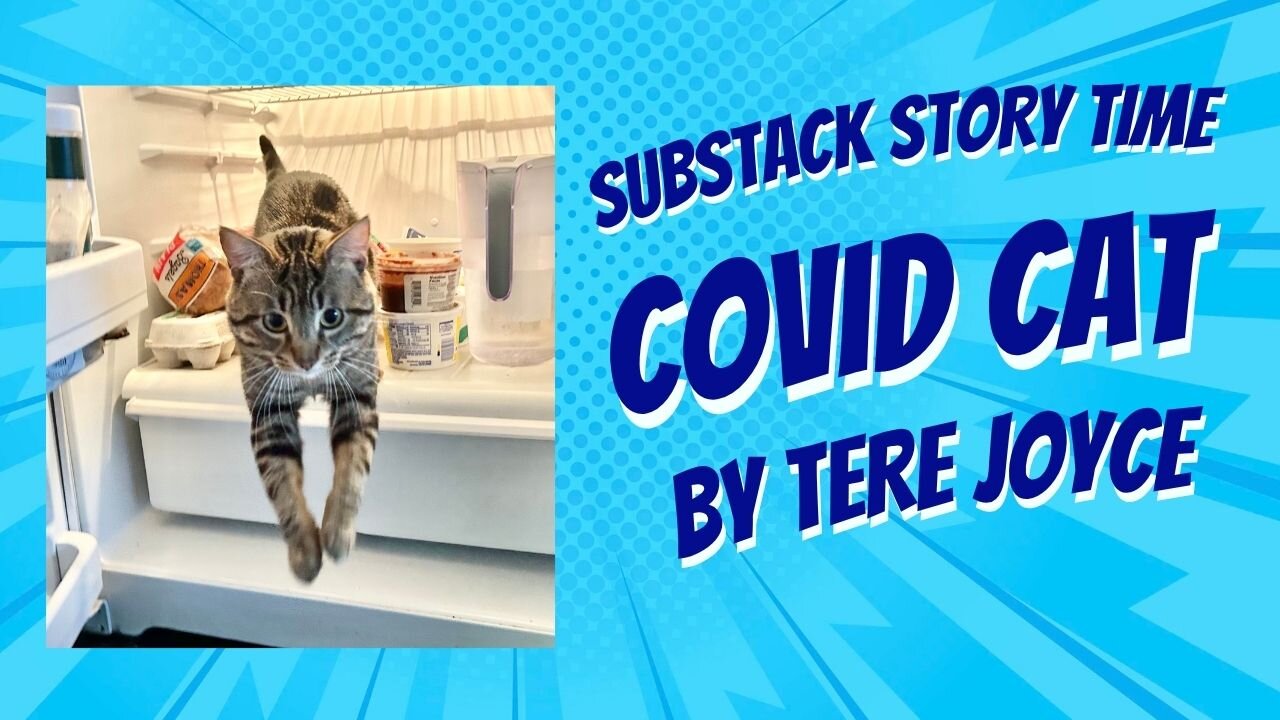 Substack Story Time: Covid Cat -by Tere Joyce