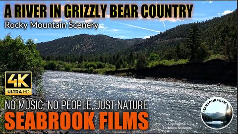 A River in Grizzly Bear Country: Rocky Mountain Scenery