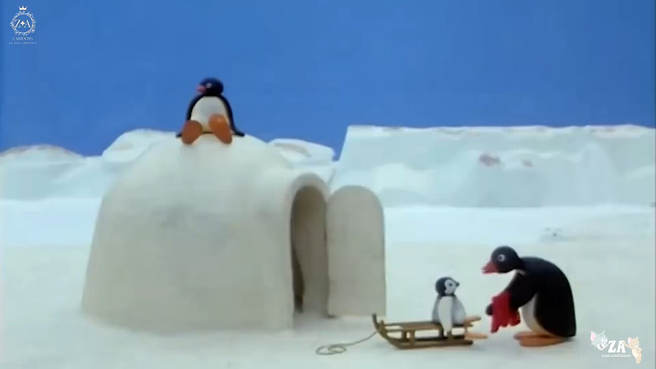 Pingu Cartoons