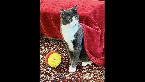 Episode 3040 CWSA 12/08/25