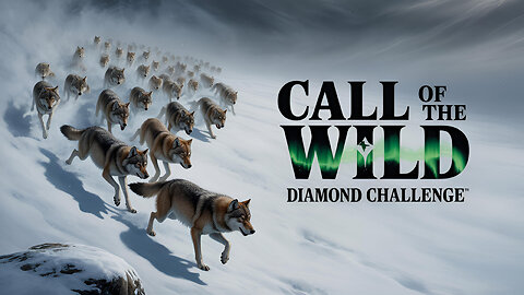 CALL OF THE WILD! BANG BANG - THE GOOD THE BAD AND THE UGLY!