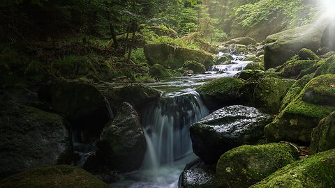 Find peace in the rhythm of nature🌿