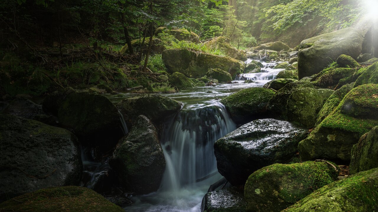 Find peace in the rhythm of nature🌿