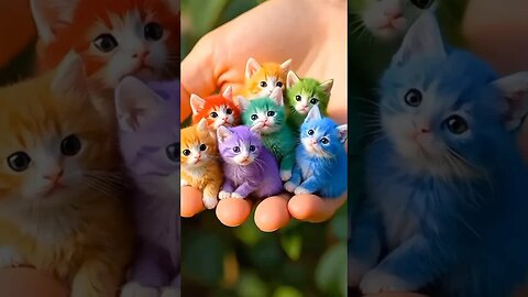 Cute cats 😻😻