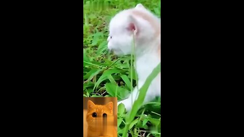 cute 🥰