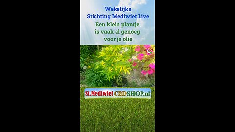 Een klein plantje is vaak al genoeg voor je olie