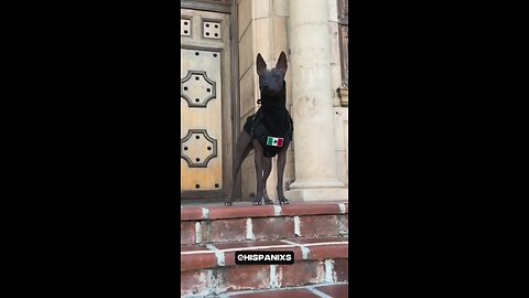 My name is &£@£& and yours ?