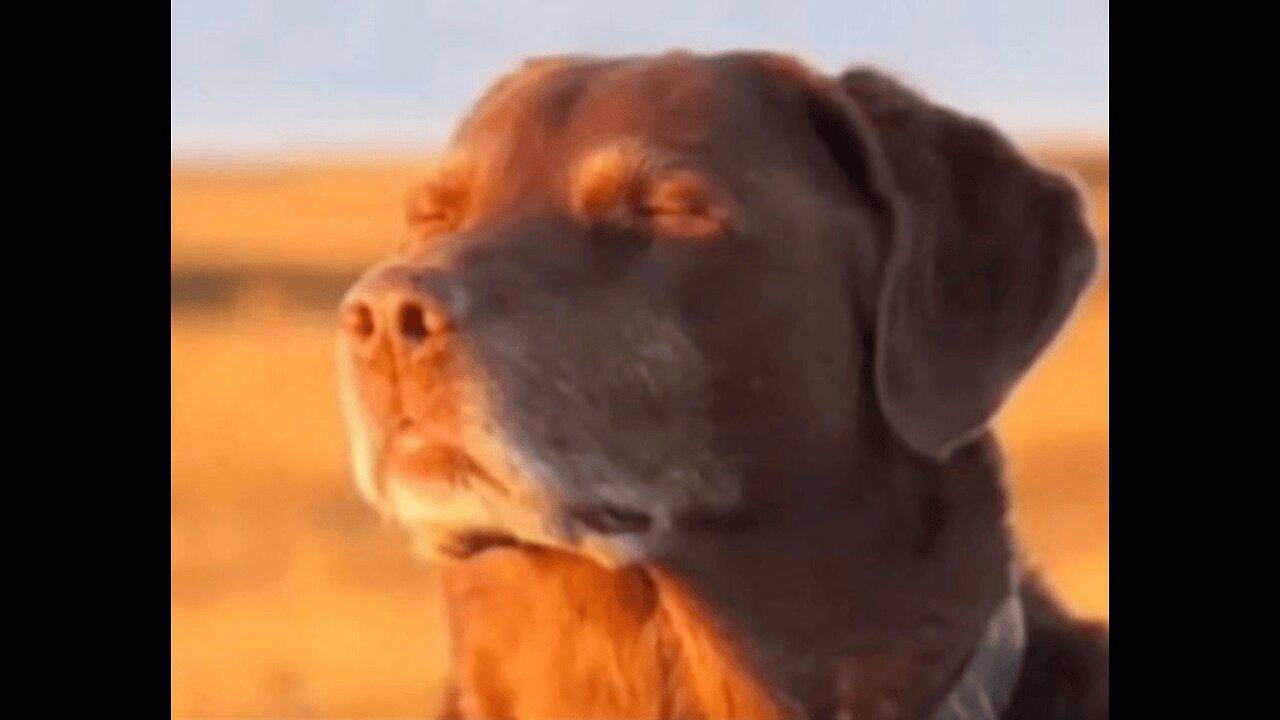 THE VR BOXING CRUSADE MUST BRIEFLY CONTINUE CAUSE I GOT A TRIP AHEAD OF ME