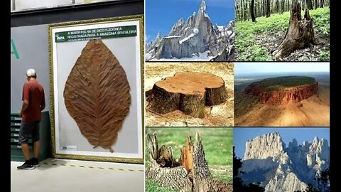 In The Ancient World, EVERYTHING Was Bigger