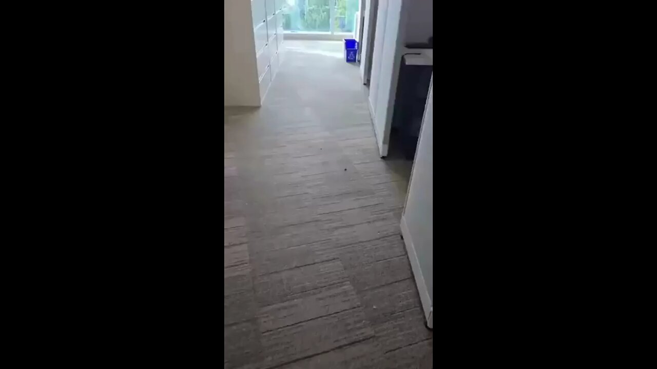 Atlanta - Bullet casings litter the ground inside the CDC after a suspect opened fire at nearby