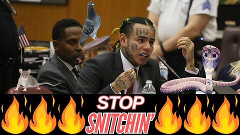 SNAKES, RATS & STOOL PIGEONS | Does Secrecy Matter, Or Are We All Really Snitches? |