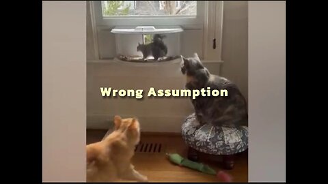 Wrong Assumption