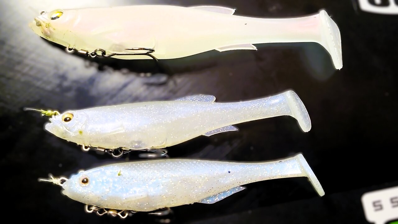 I Wasted Money on Swimbaits So You Don't Have To (5" Magdraft Test)