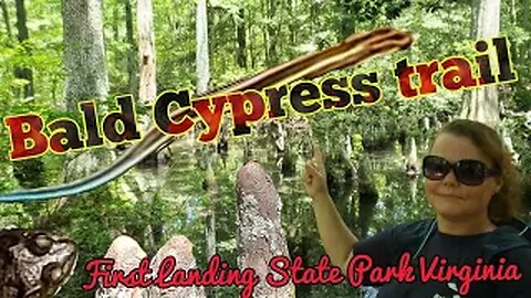 First Landing State Park VA - Bald Cypress Trail