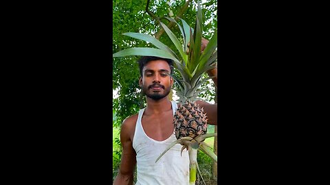 fresh fruit
