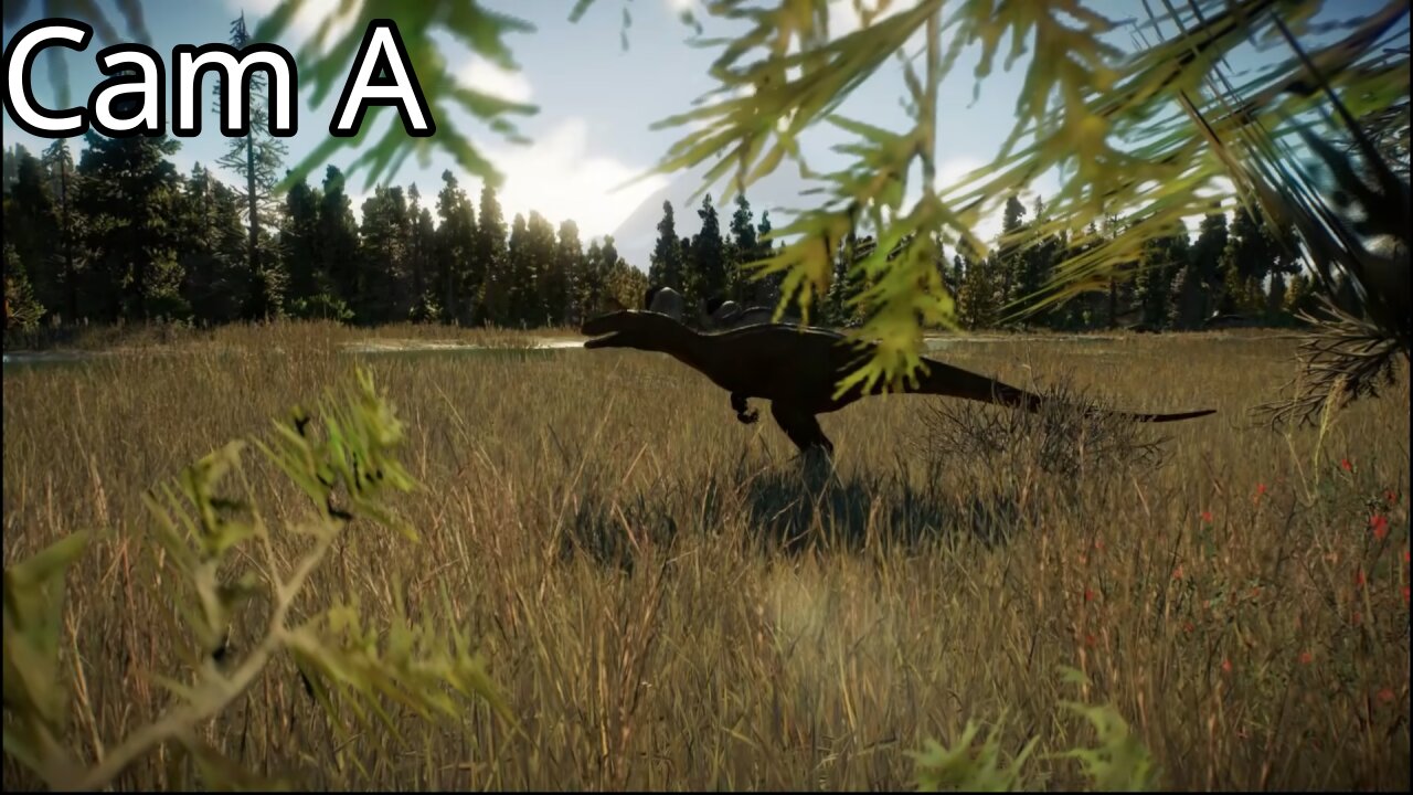 Dino Cam A Day 1