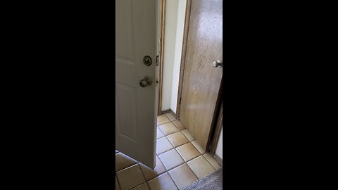 Hey ! I came !