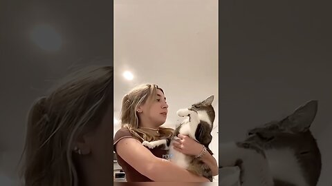 Animals Funny Compilation #funnyanimals #animals #pets #shorts