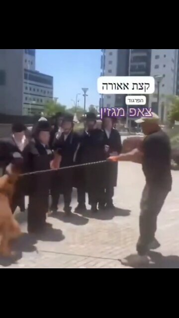 The Nazis did not disappeared they just change names