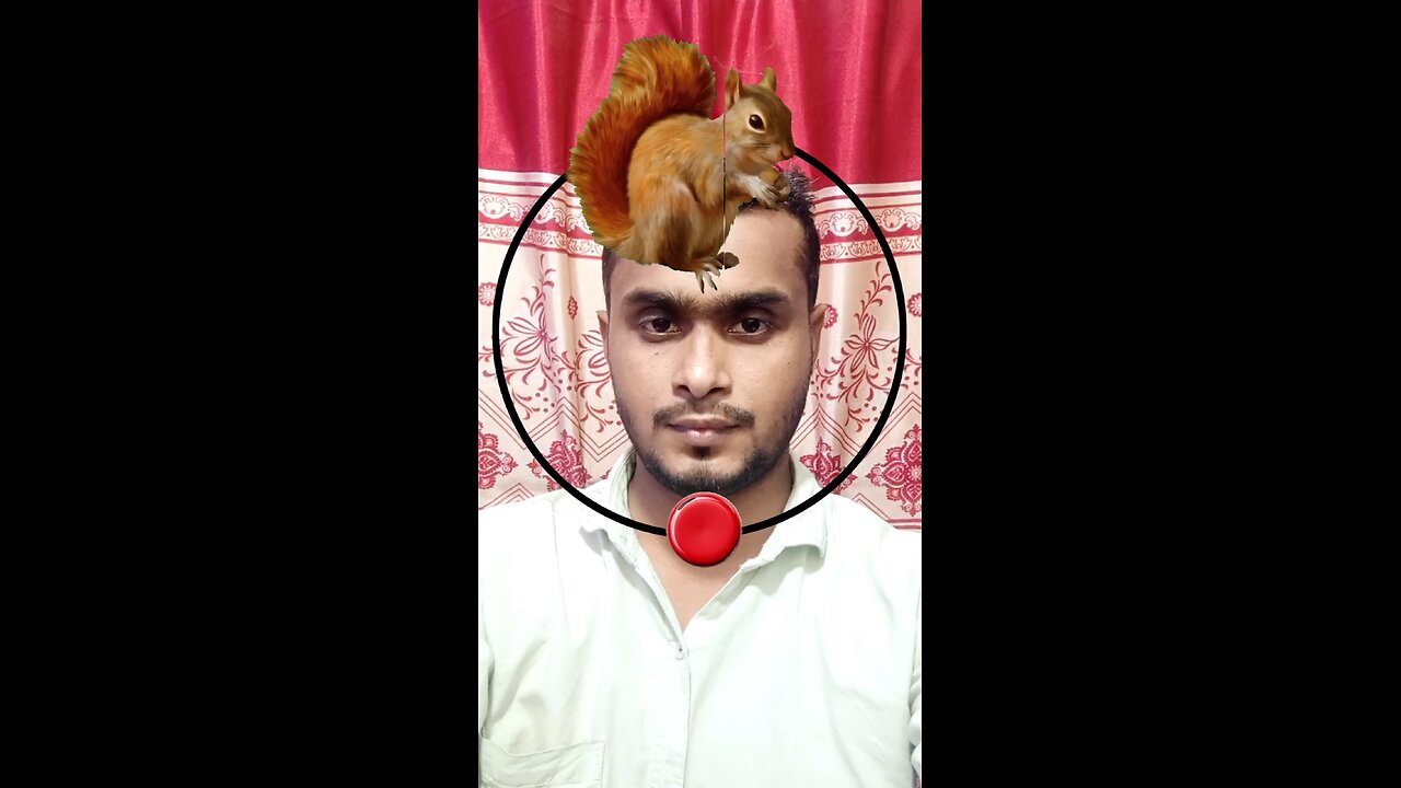 কাঠবিড়ালির মাথাটি জোড়া লাগান ৩৪ #reels #puzzle #challenge #tending #foryou #viral