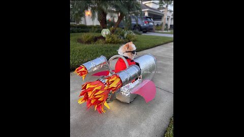 Sarasota tim haters just trolling right along Blindviews spending taters money