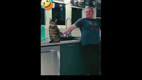 Exclusive Trending Comedy Video 2025 New Amazing Funny Video 2025 Episode 309 by Busy Fun Ltd