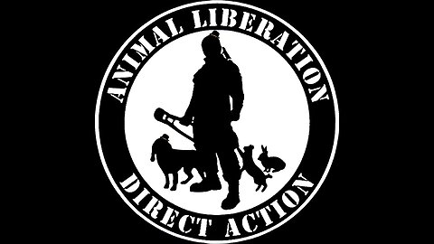 The Power Of Direct Action