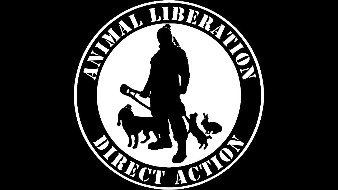 The Power Of Direct Action