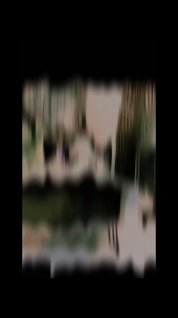 najaro to 💯♥️🫶 ♥️ terading ♥️💞💯💯 new