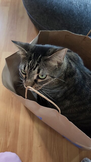 look what I found at Nordstrom LOL 😆 😂 😄