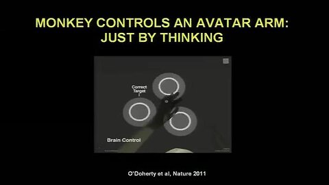 🚨brain 2 brain Miguel Nicolelis Brain-to-brain communication has arrived How we did it - LINKS👀