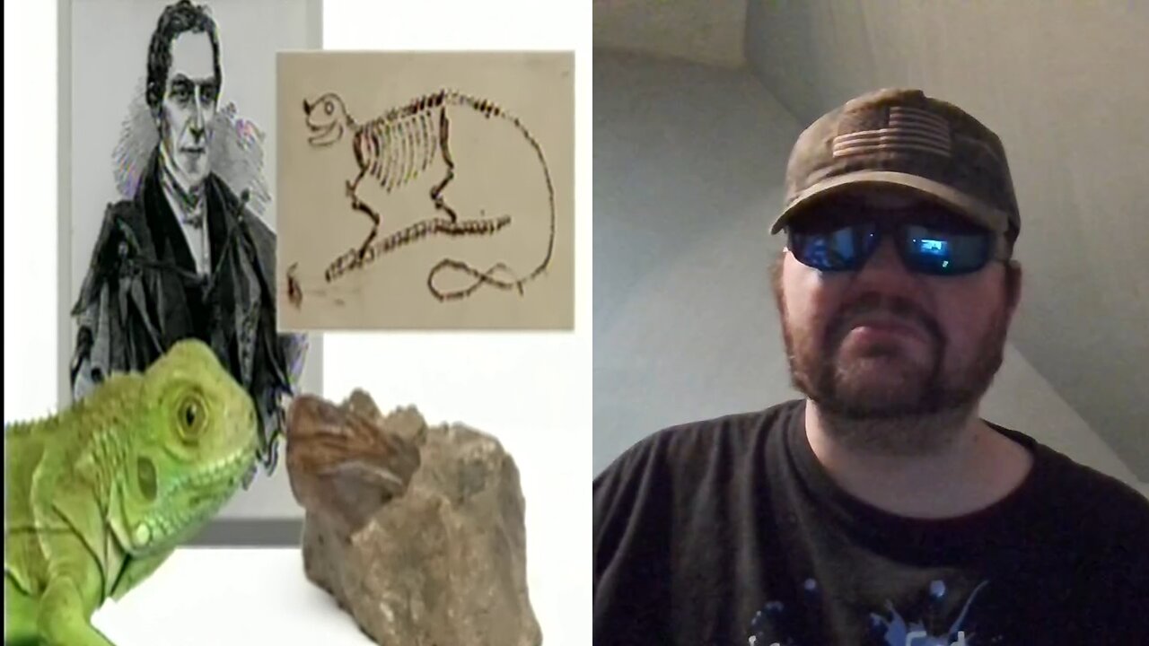 Eyewitness: Dinosaur (1994) VHS - Reaction! (BBT)