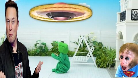 Bonmonkeykiki Catch the UFO || Animalht Catch the UFO & Alien Video..
