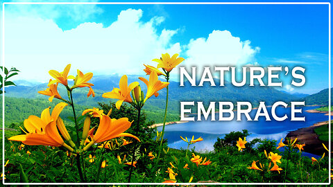 Nature’s Embrace 🌿 | Relaxing Calm Music for Peaceful Mind & Deep Sleep 😌✨