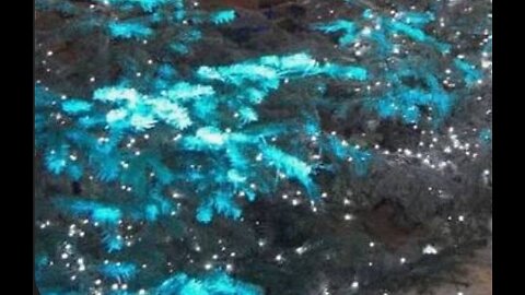 2 Songs: Dream - Love