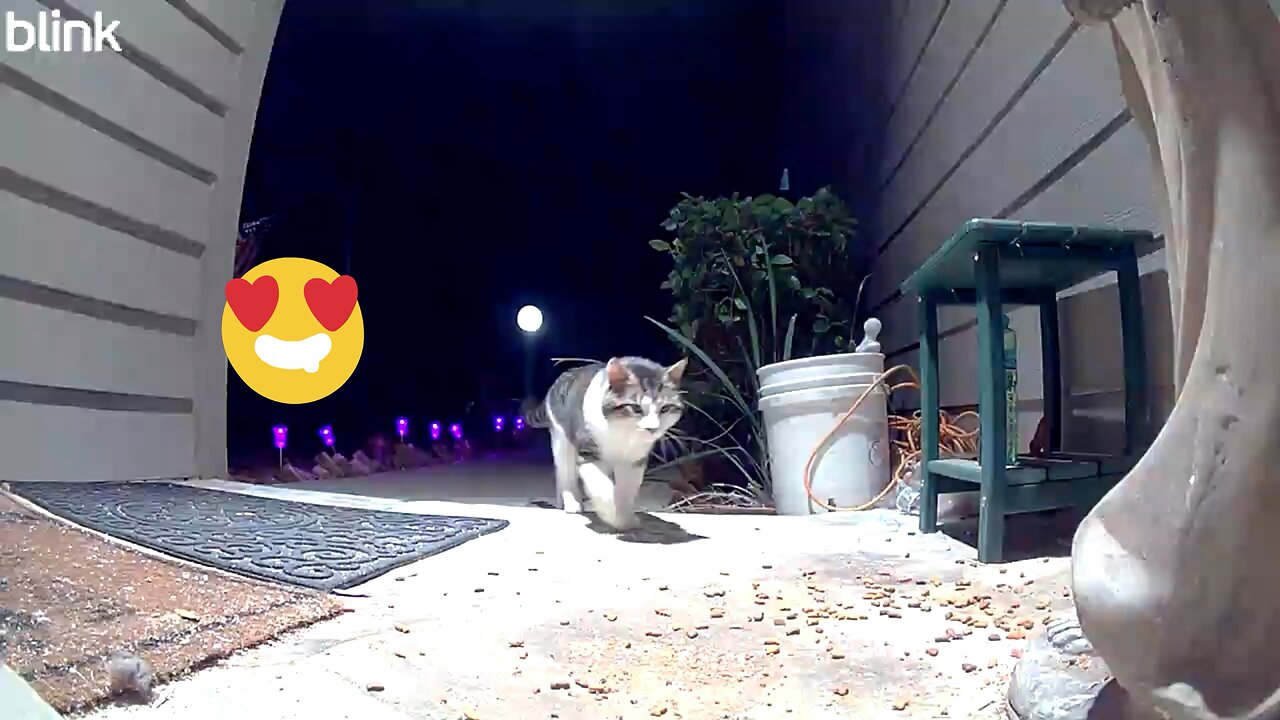 Midnight date