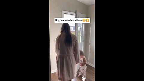 Dogs are weird sometimes 😂😂😂😂 : : : : : : : : #reel #explorepage #failed #oceanmeme #oceanmeme