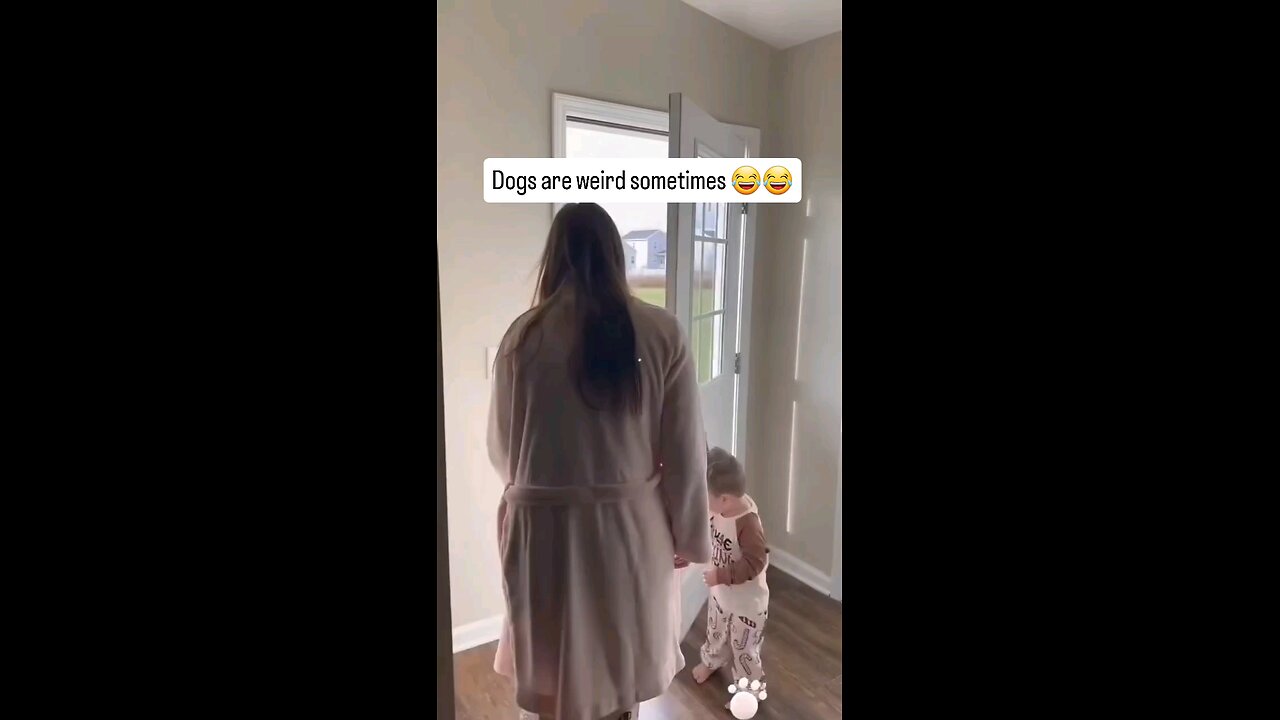 Dogs are weird sometimes 😂😂😂😂 : : : : : : : : #reel #explorepage #failed #oceanmeme #oceanmeme
