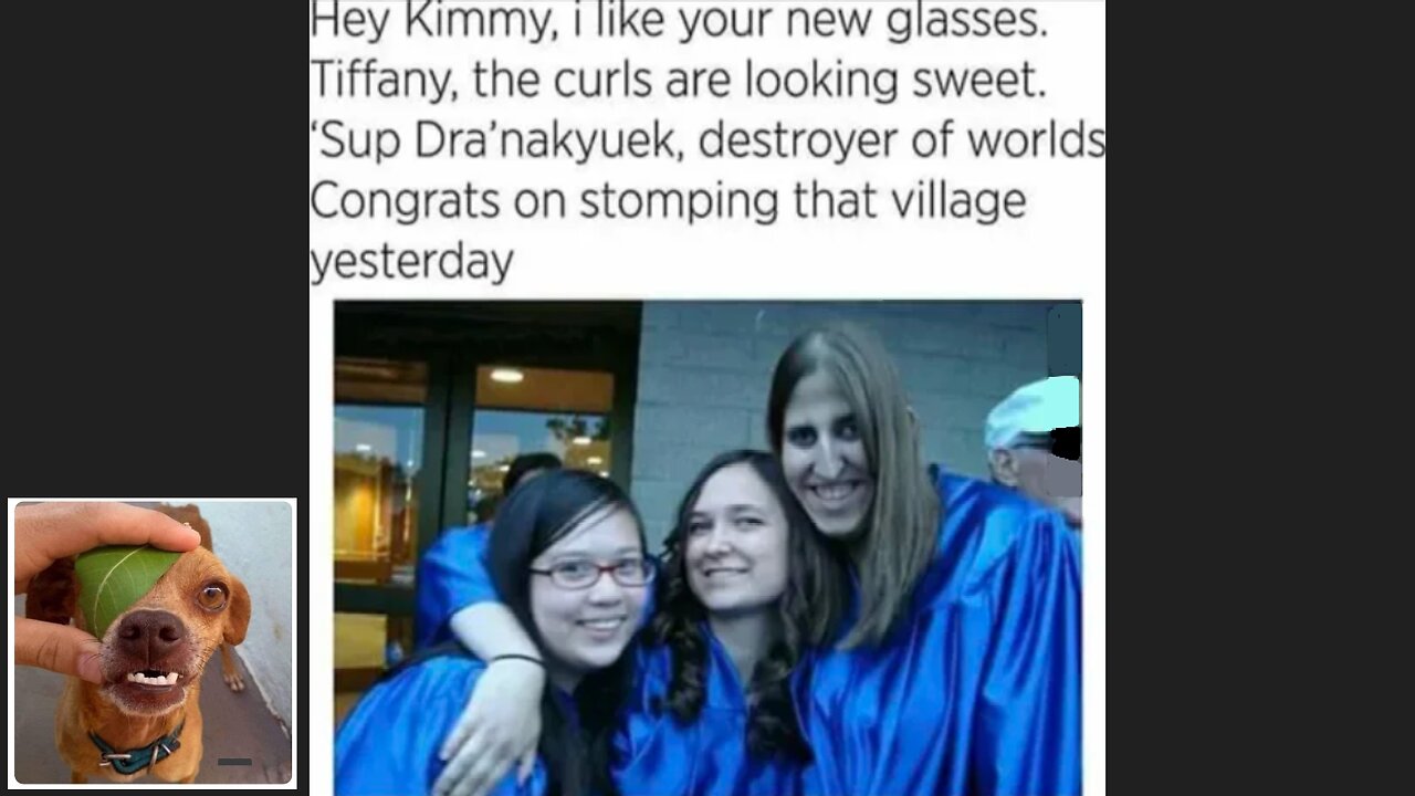 Memes That Will 99.0199% Make You Laugh. (e423)