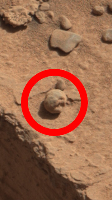 Som ET - 82 - Mars - Curiosity Sol 4446 - 1